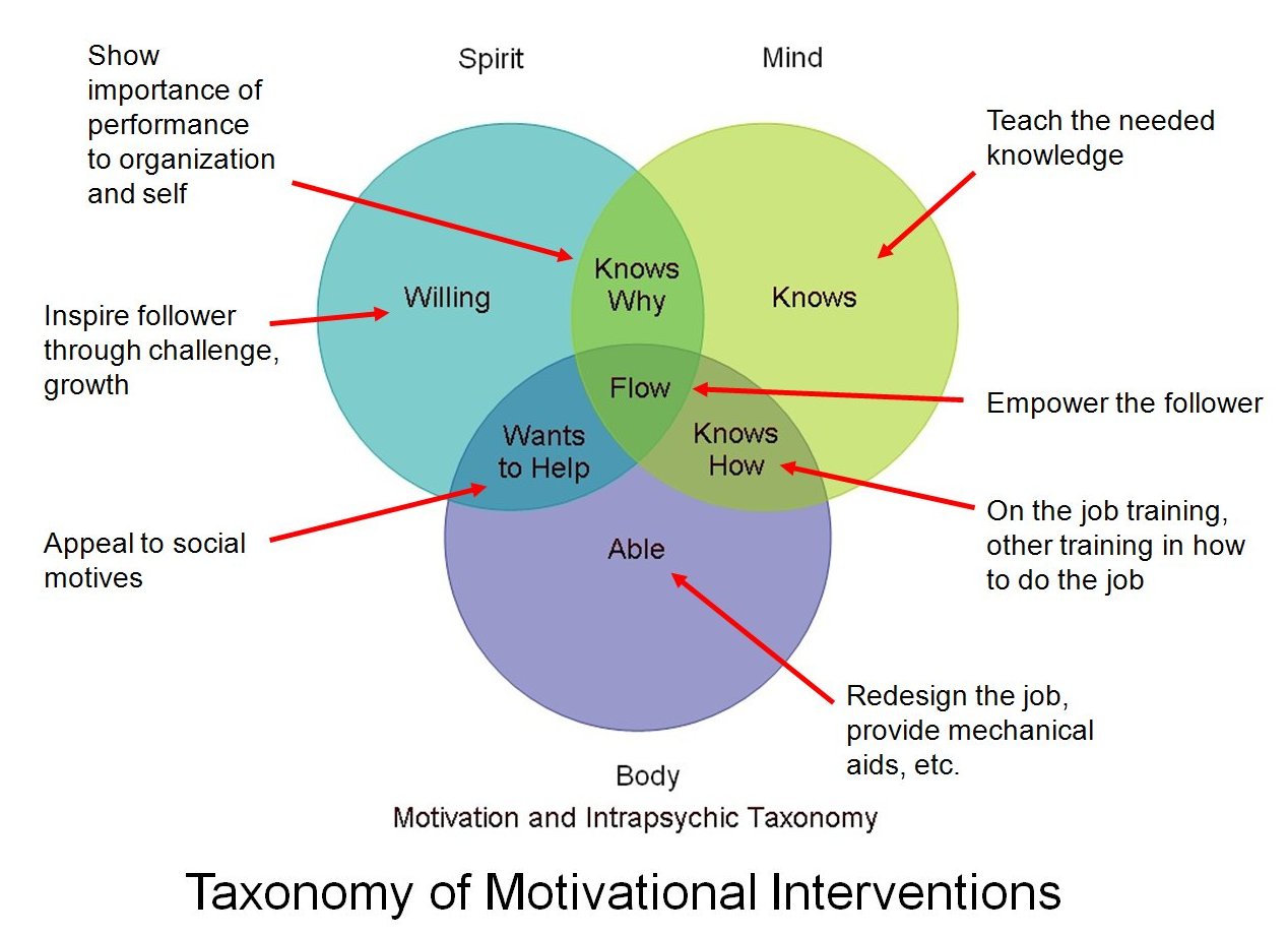 Figure Two: Taxonomy of Motivational Interventions